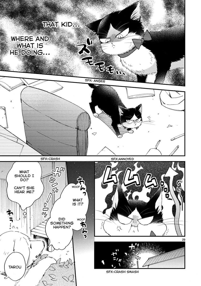 Read My Roommate is a Cat chapter 13.1 image 3 on Lezhin