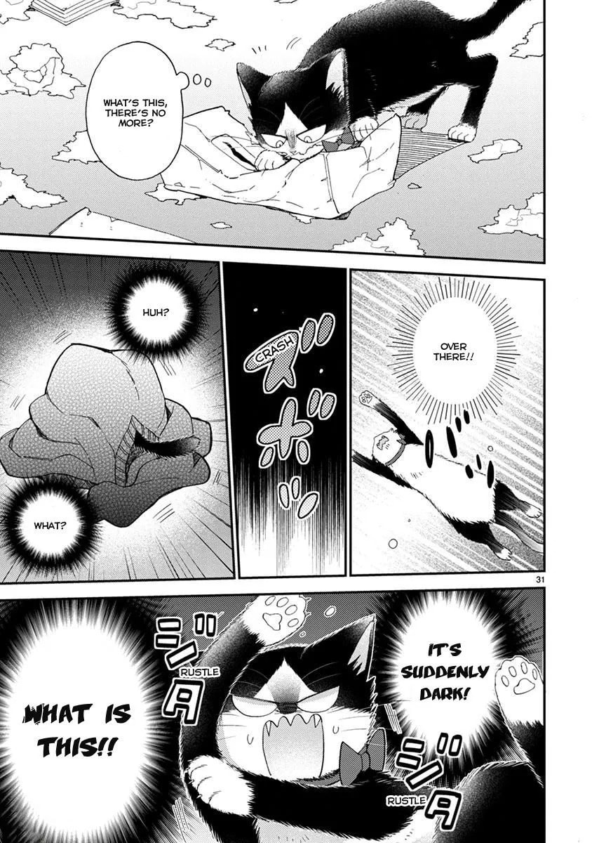 Read My Roommate is a Cat chapter 13.1 image 5 on Lezhin
