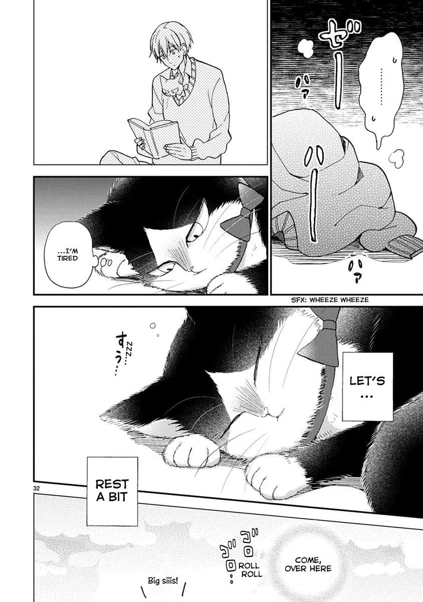 Read My Roommate is a Cat chapter 13.1 image 6 on Lezhin