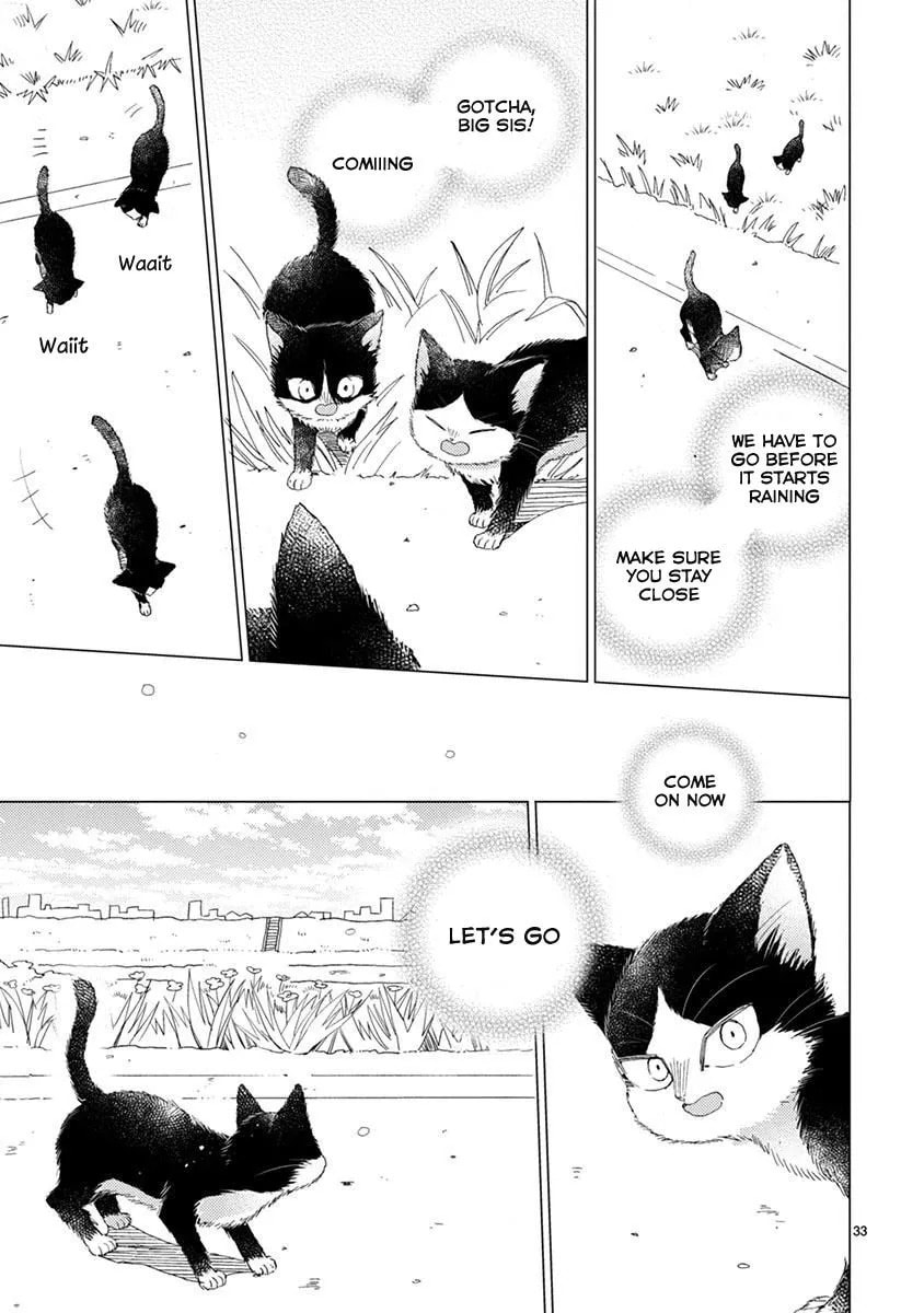 Read My Roommate is a Cat chapter 13.1 image 7 on Lezhin