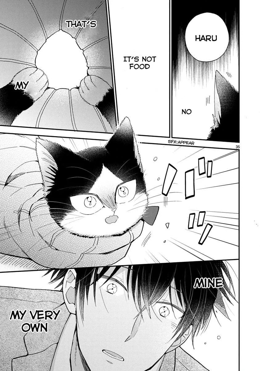 Read My Roommate is a Cat chapter 13.1 image 9 on Lezhin