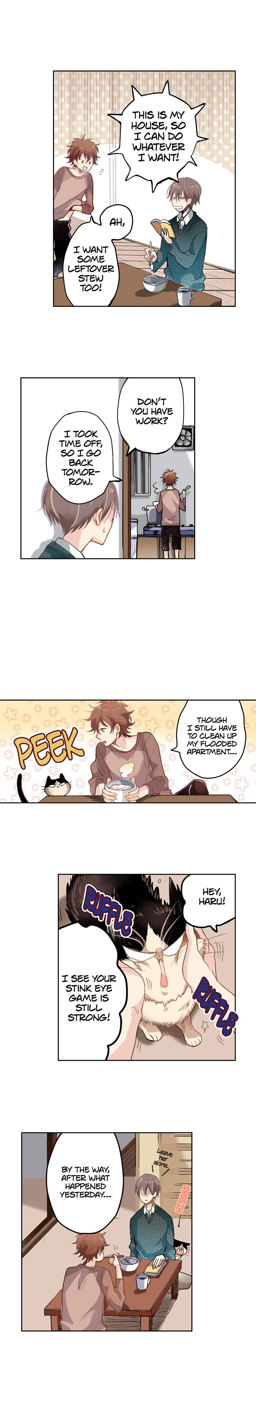 Read My Roommate is a Cat chapter 16 image 1 on Lezhin