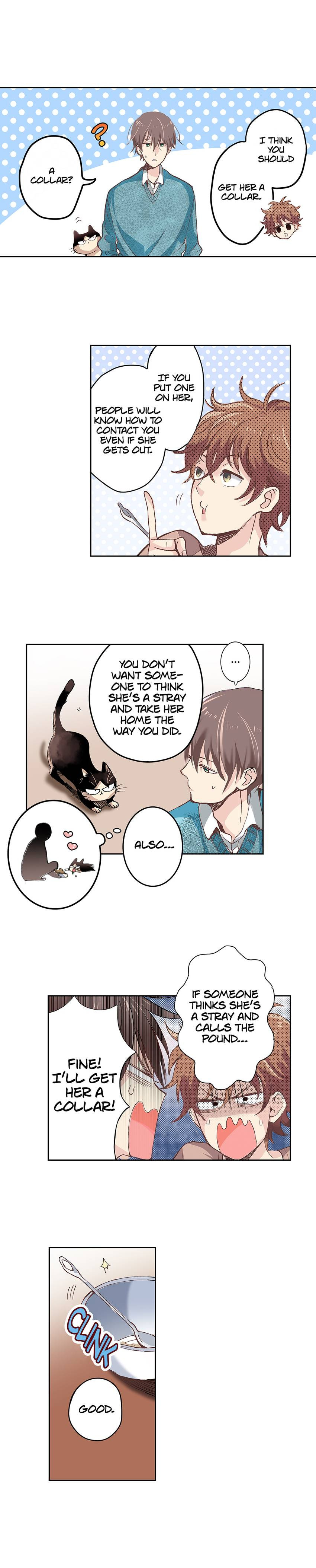Read My Roommate is a Cat chapter 16 image 2 on Lezhin