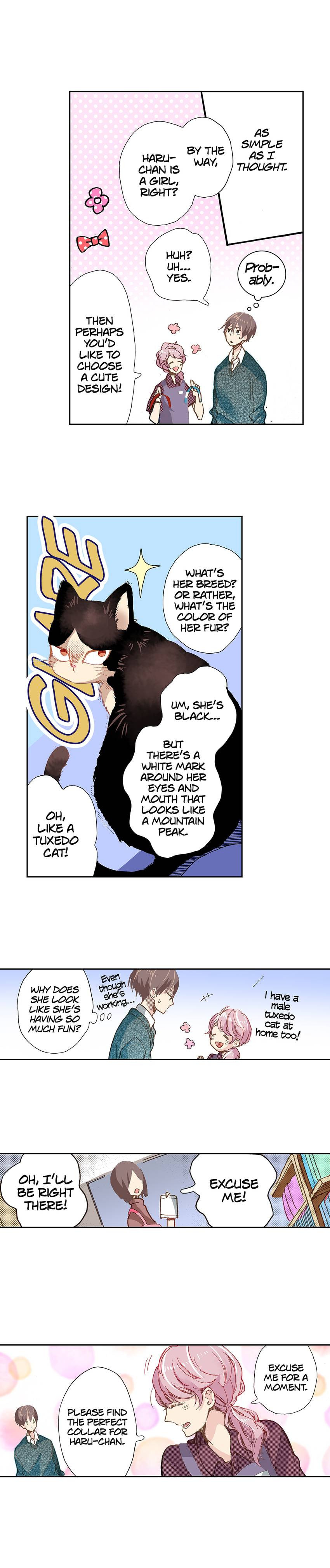 Read My Roommate is a Cat chapter 16 image 9 on Lezhin