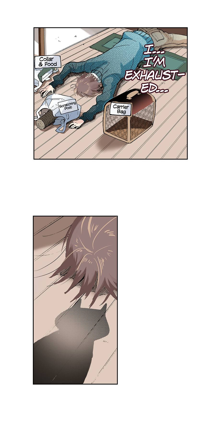 Read My Roommate is a Cat chapter 17 image 2 on Lezhin