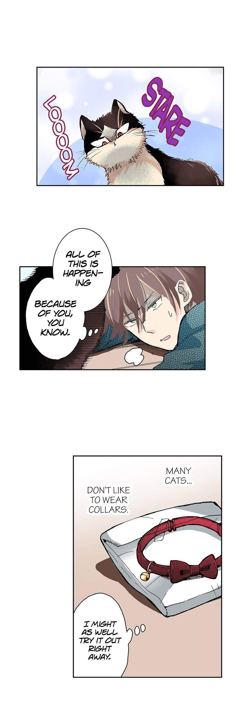 Read My Roommate is a Cat chapter 17 image 3 on Lezhin
