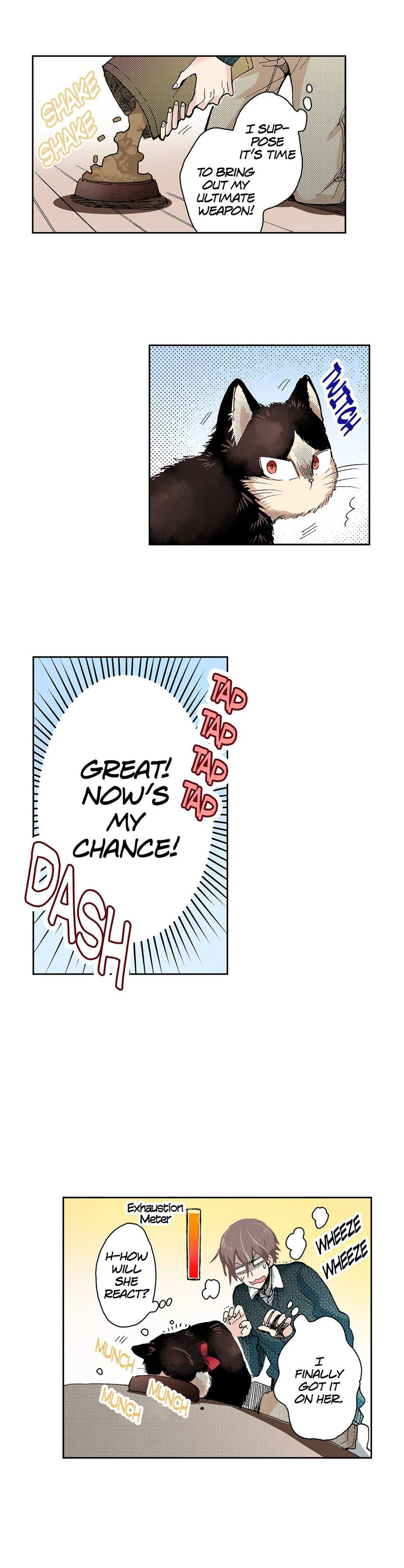 Read My Roommate is a Cat chapter 17 image 6 on Lezhin