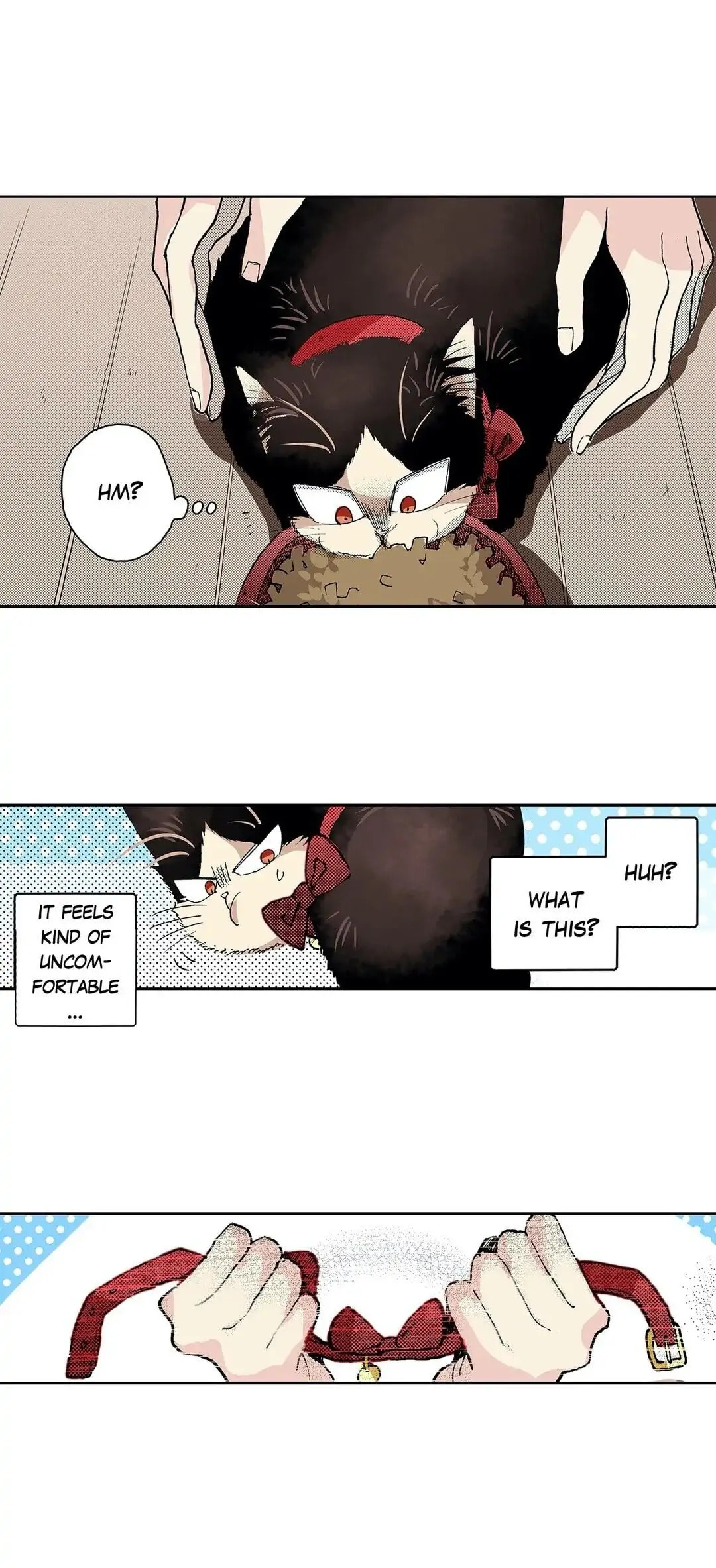 Read My Roommate is a Cat chapter 18 image 10 on Lezhin