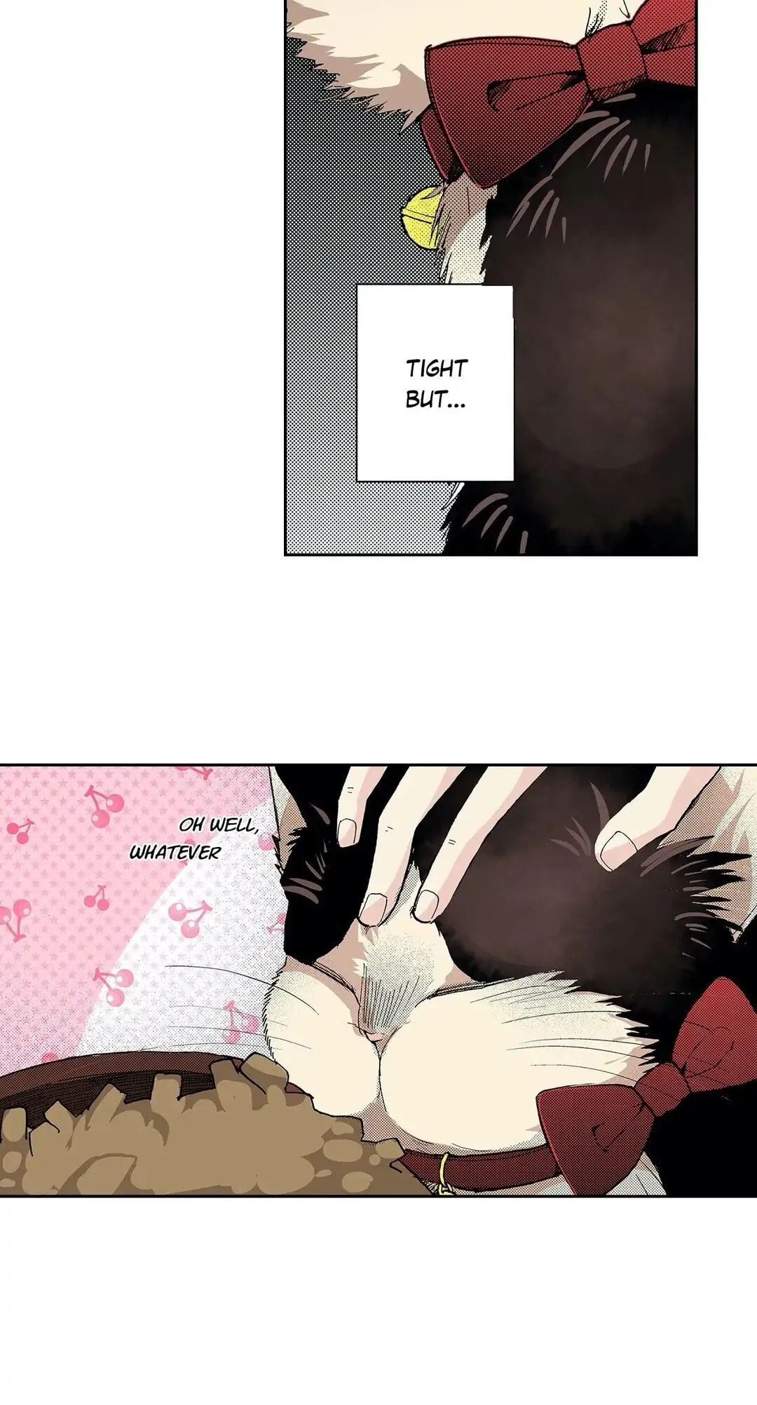 Read My Roommate is a Cat chapter 18 image 13 on Lezhin