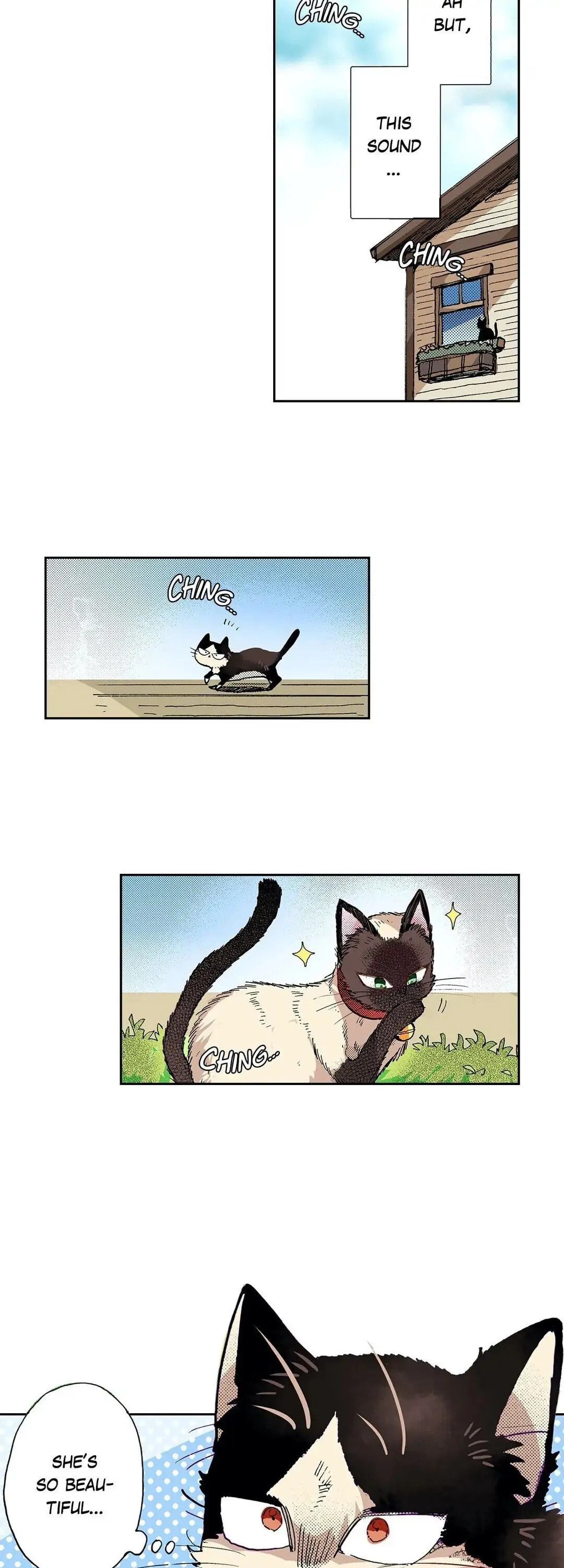 Read My Roommate is a Cat chapter 18 image 16 on Lezhin