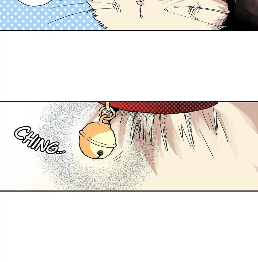 Read My Roommate is a Cat chapter 18 image 17 on Lezhin
