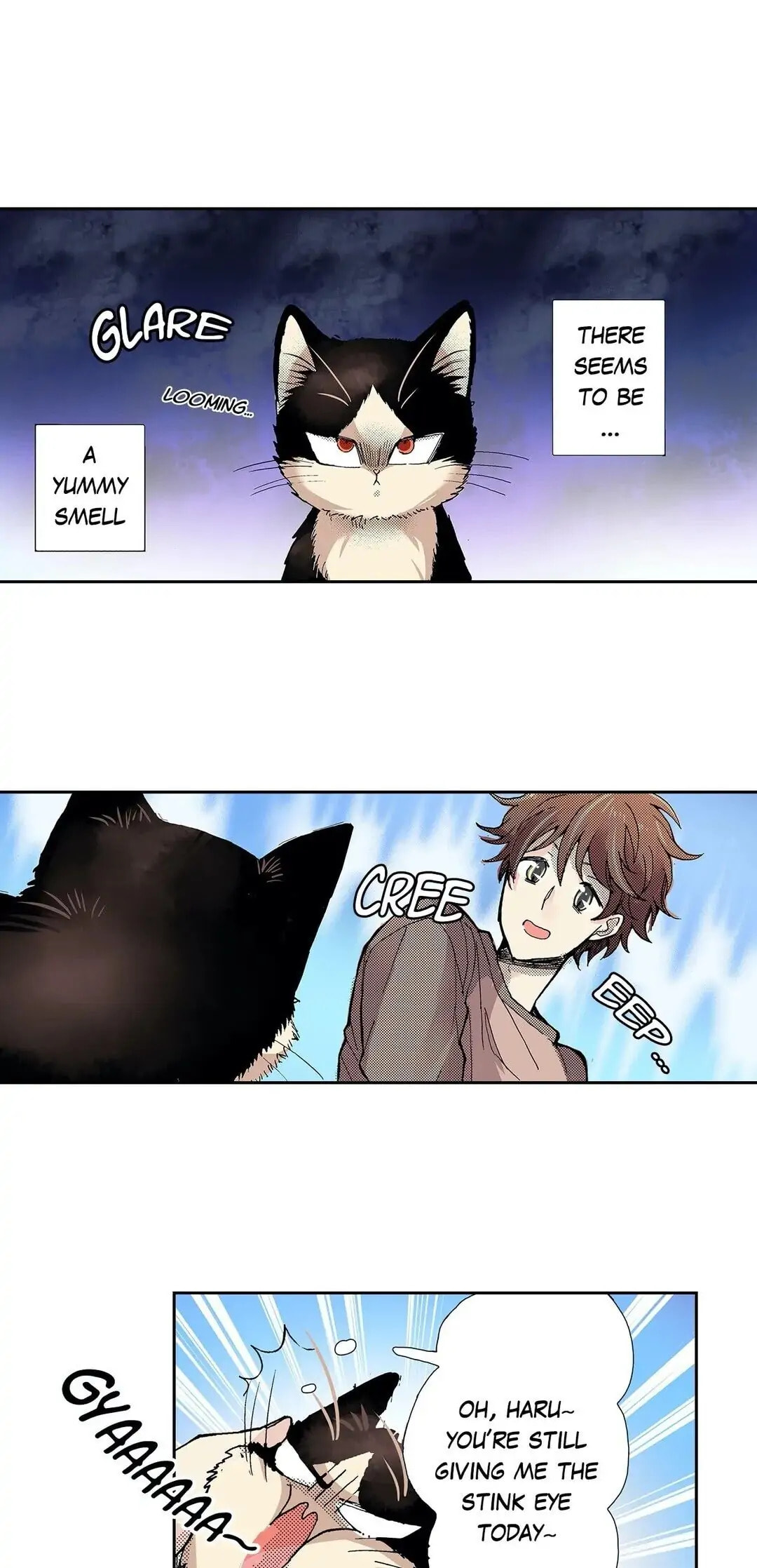 Read My Roommate is a Cat chapter 18 image 2 on Lezhin