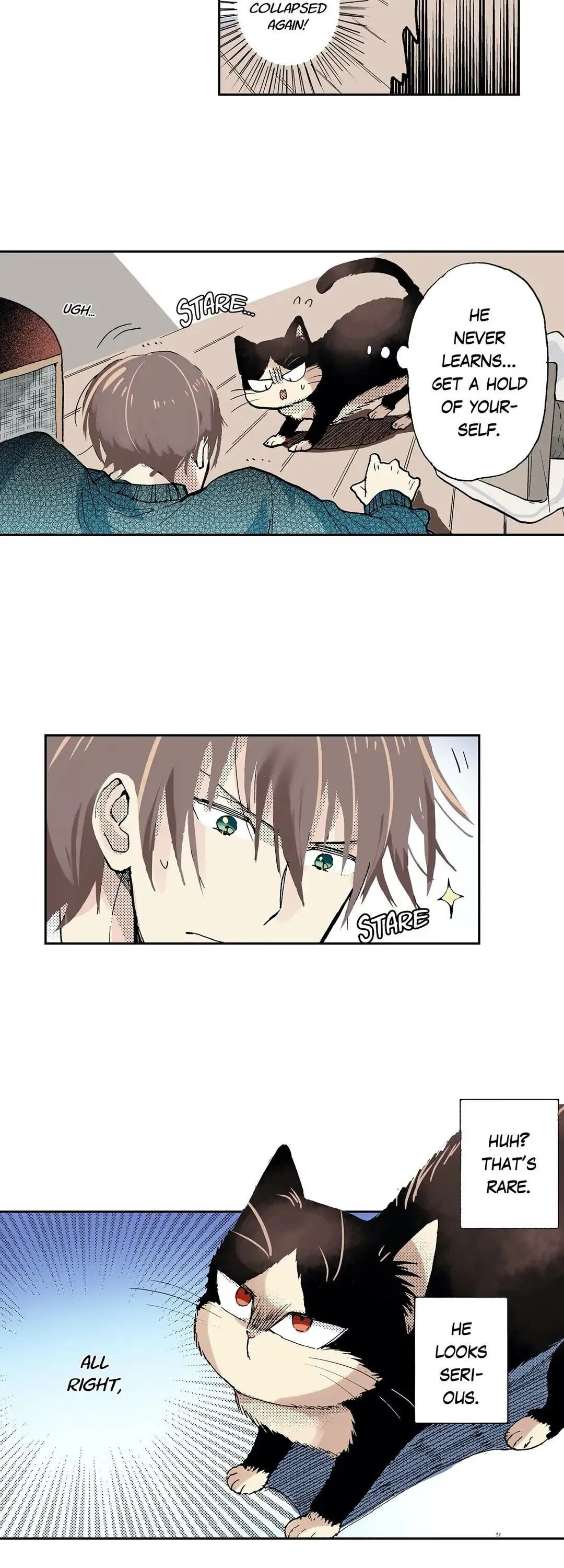 Read My Roommate is a Cat chapter 18 image 6 on Lezhin