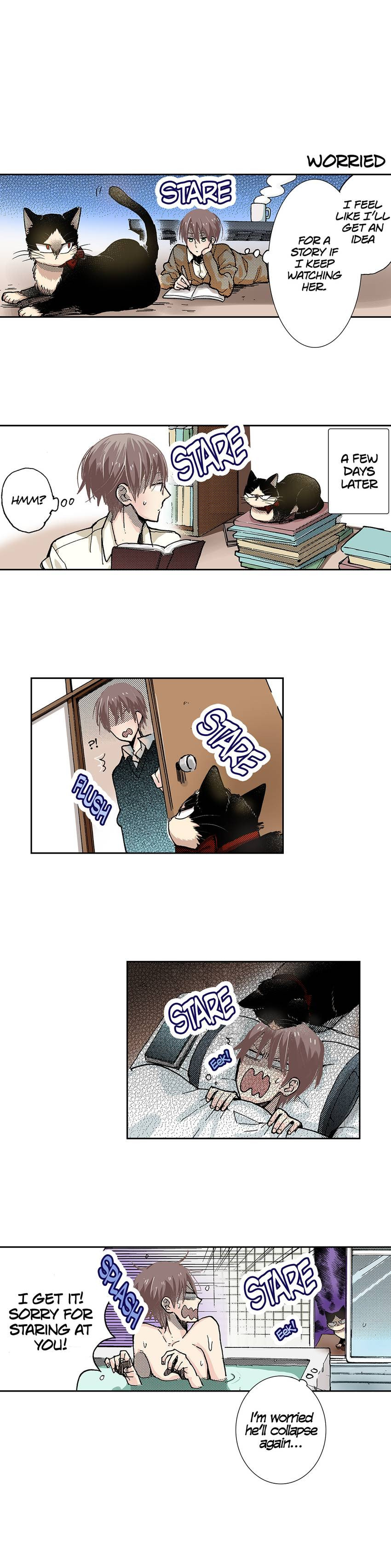 Read My Roommate is a Cat chapter 19 image 1 on Lezhin