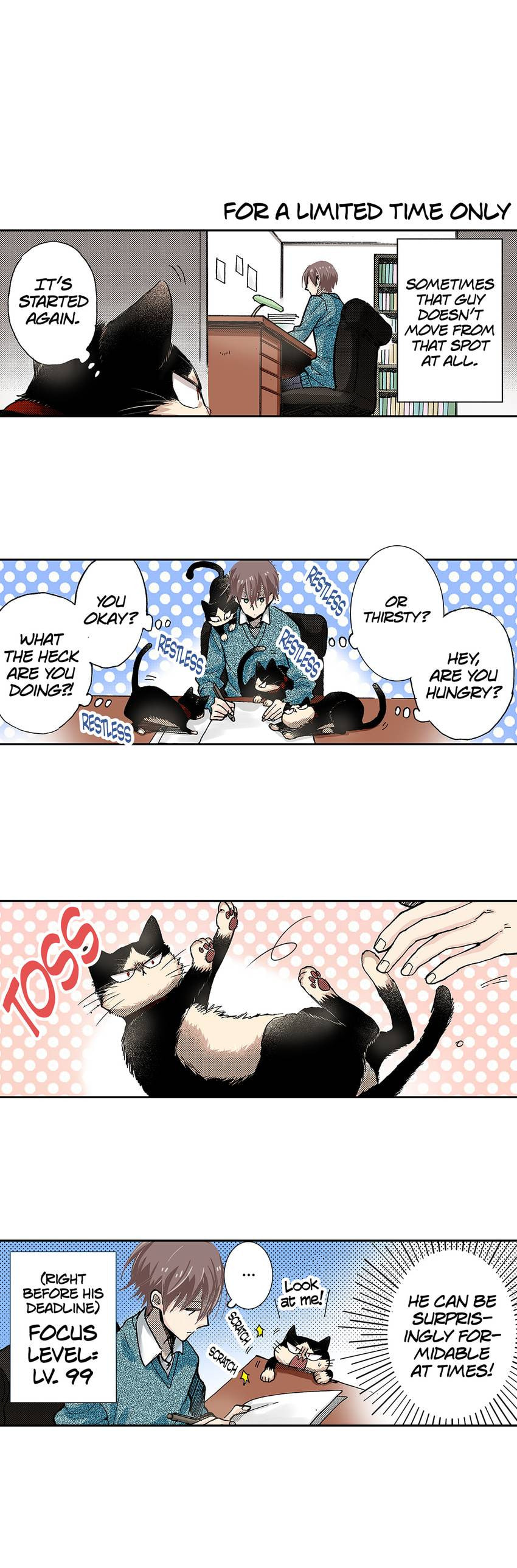 Read My Roommate is a Cat chapter 19 image 2 on Lezhin