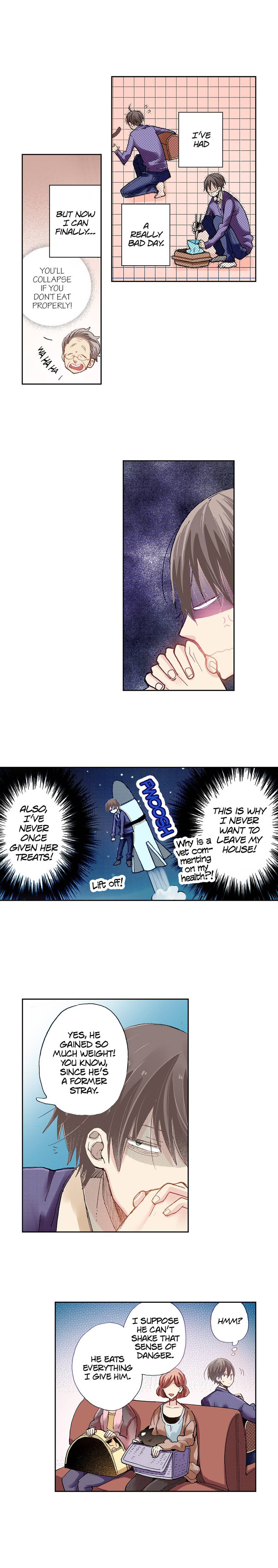 Read My Roommate is a Cat chapter 20 image 2 on Lezhin