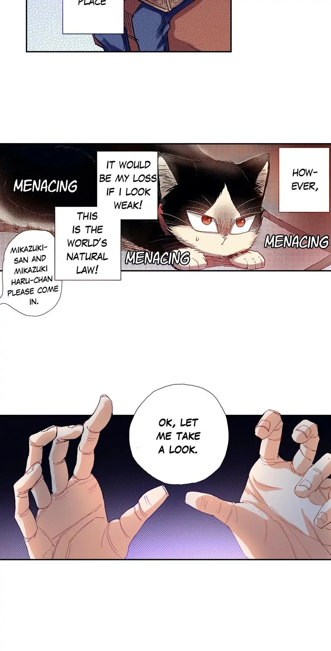 Read My Roommate is a Cat chapter 22 image 11 on Lezhin