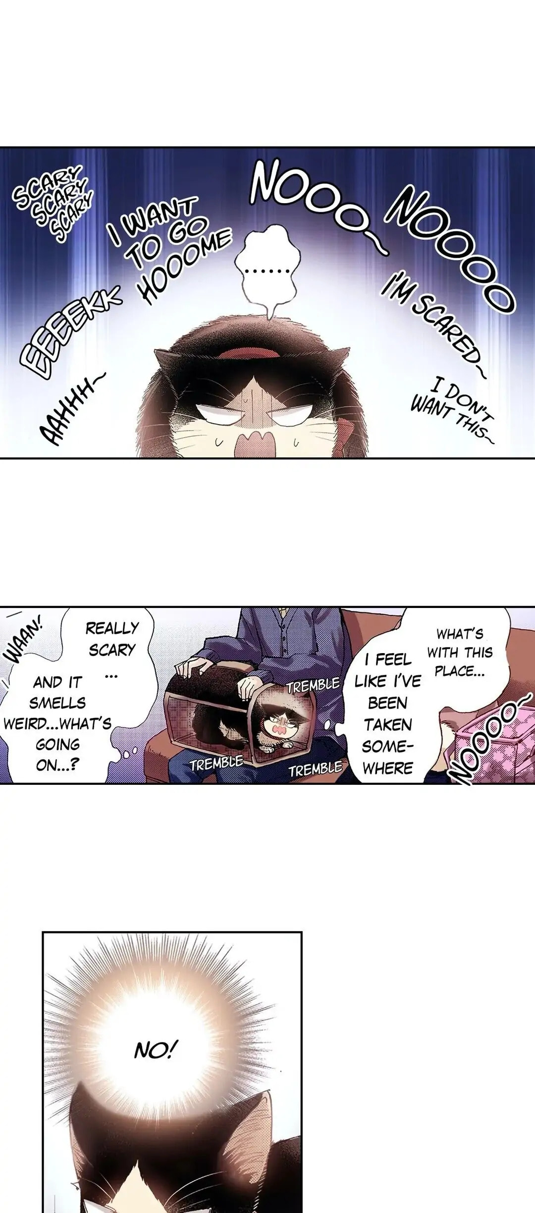 Read My Roommate is a Cat chapter 22 image 2 on Lezhin