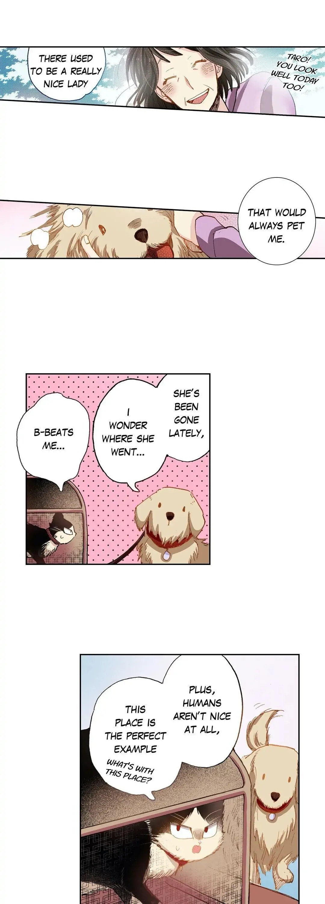 Read My Roommate is a Cat chapter 22 image 20 on Lezhin