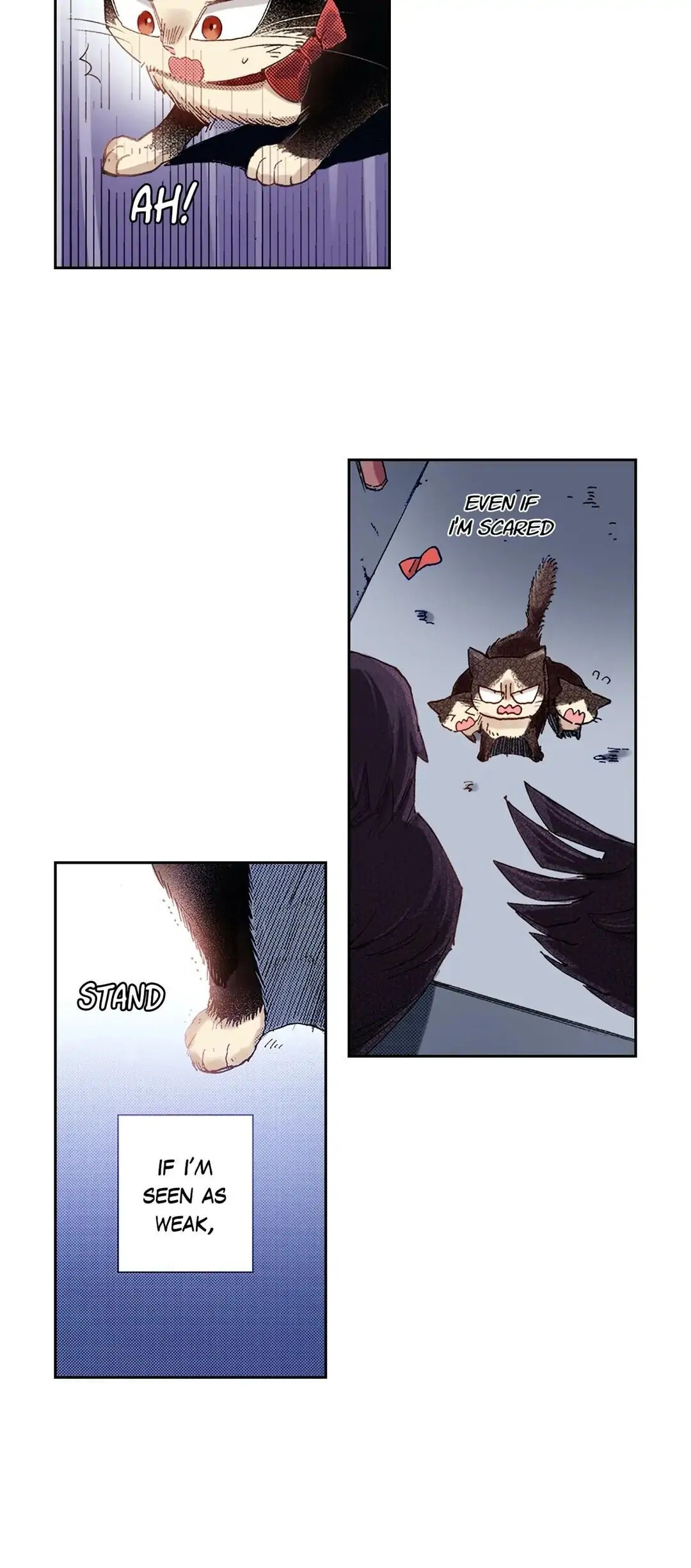 Read My Roommate is a Cat chapter 22 image 3 on Lezhin