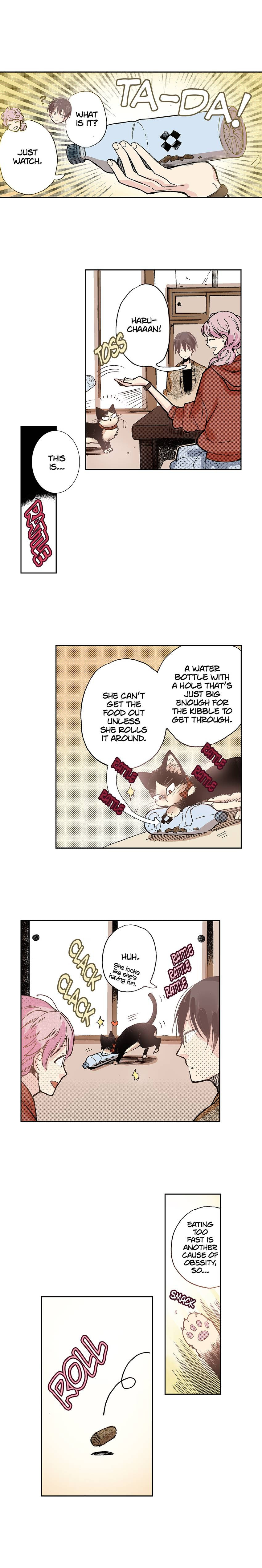 Read My Roommate is a Cat chapter 23 image 6 on Lezhin
