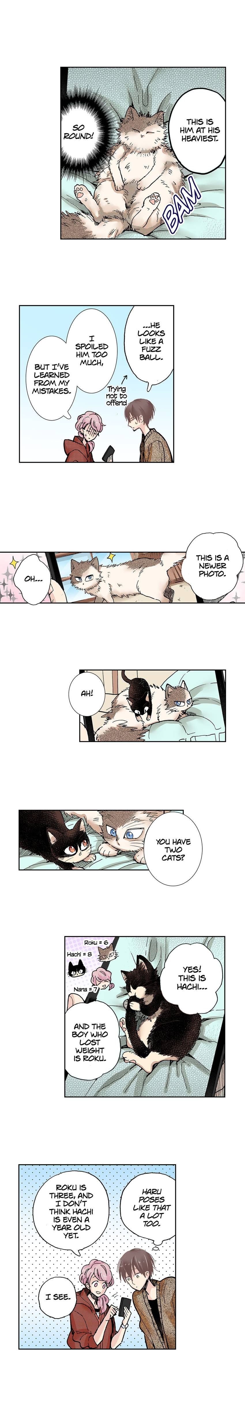 Read My Roommate is a Cat chapter 24 image 1 on Lezhin