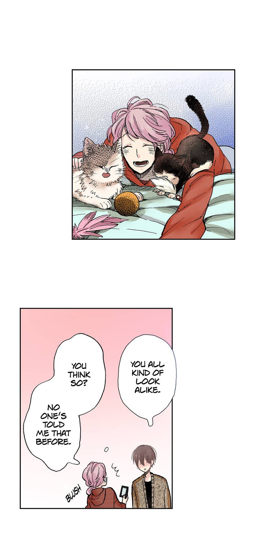 Read My Roommate is a Cat chapter 24 image 2 on Lezhin
