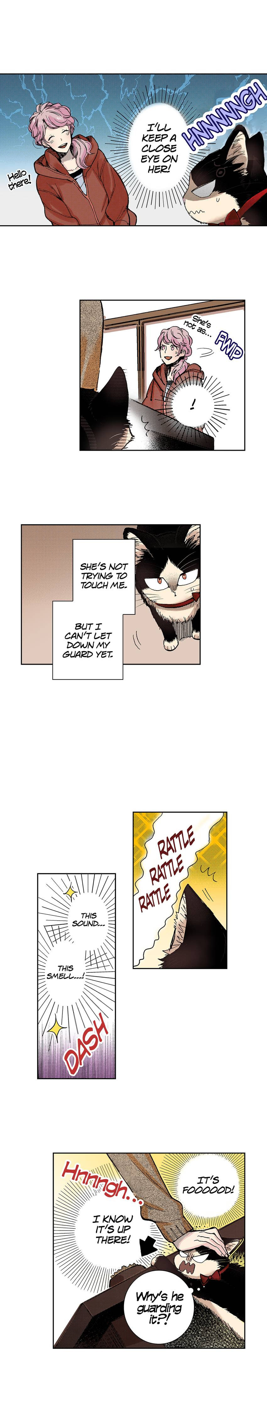 Read My Roommate is a Cat chapter 25 image 2 on Lezhin