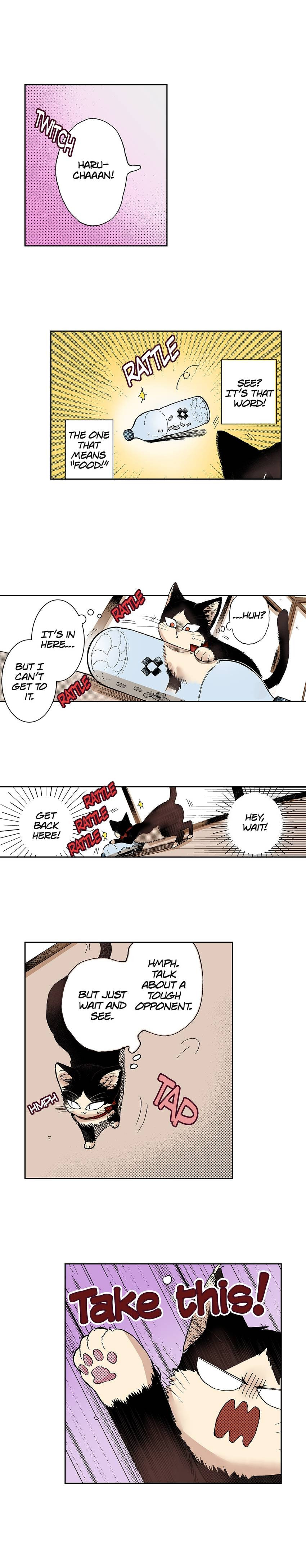 Read My Roommate is a Cat chapter 25 image 3 on Lezhin