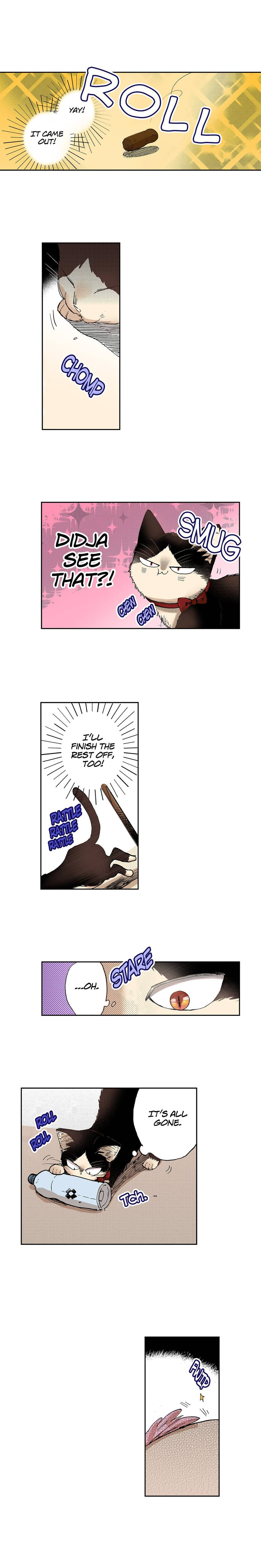Read My Roommate is a Cat chapter 25 image 4 on Lezhin