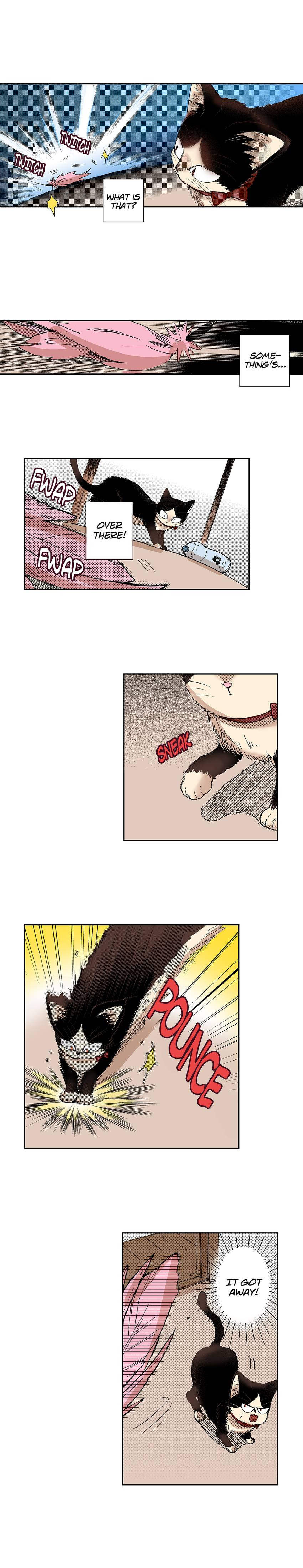 Read My Roommate is a Cat chapter 25 image 5 on Lezhin
