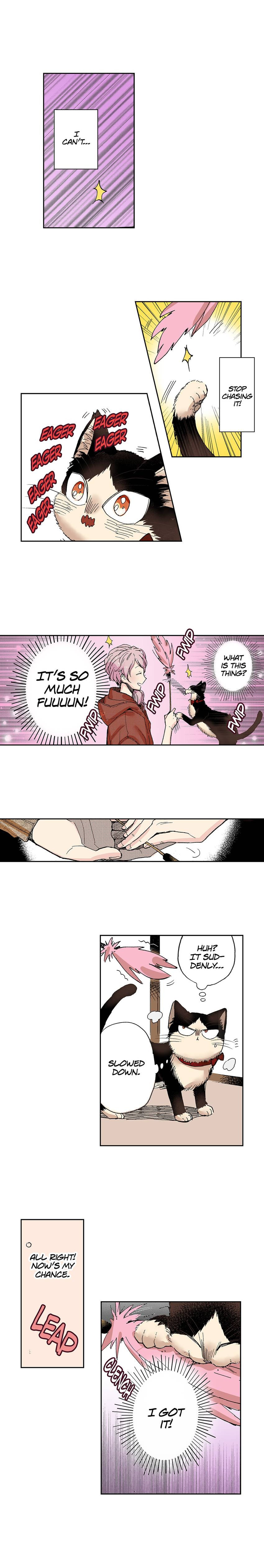 Read My Roommate is a Cat chapter 25 image 6 on Lezhin