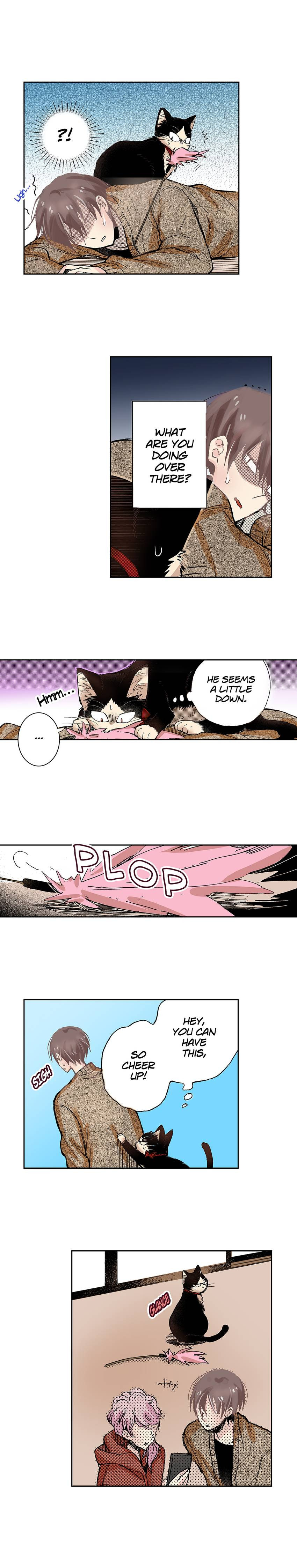 Read My Roommate is a Cat chapter 25 image 7 on Lezhin