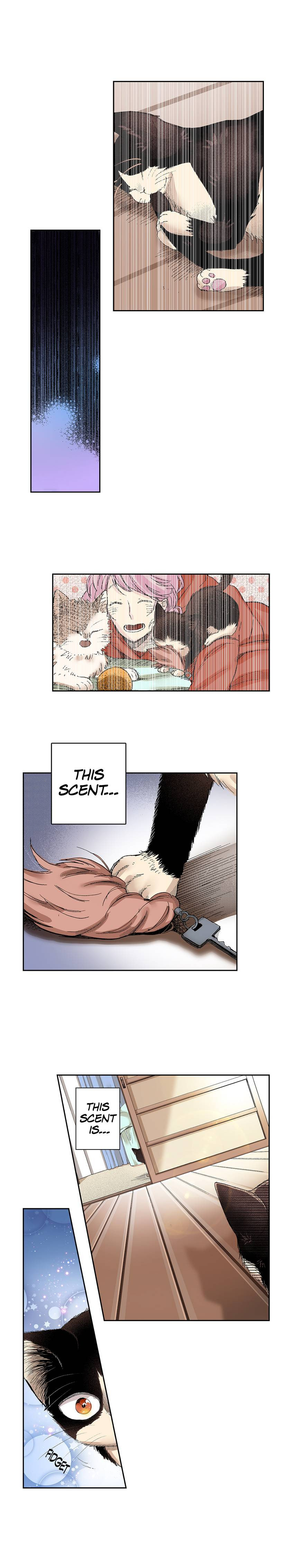 Read My Roommate is a Cat chapter 26 image 8 on Lezhin