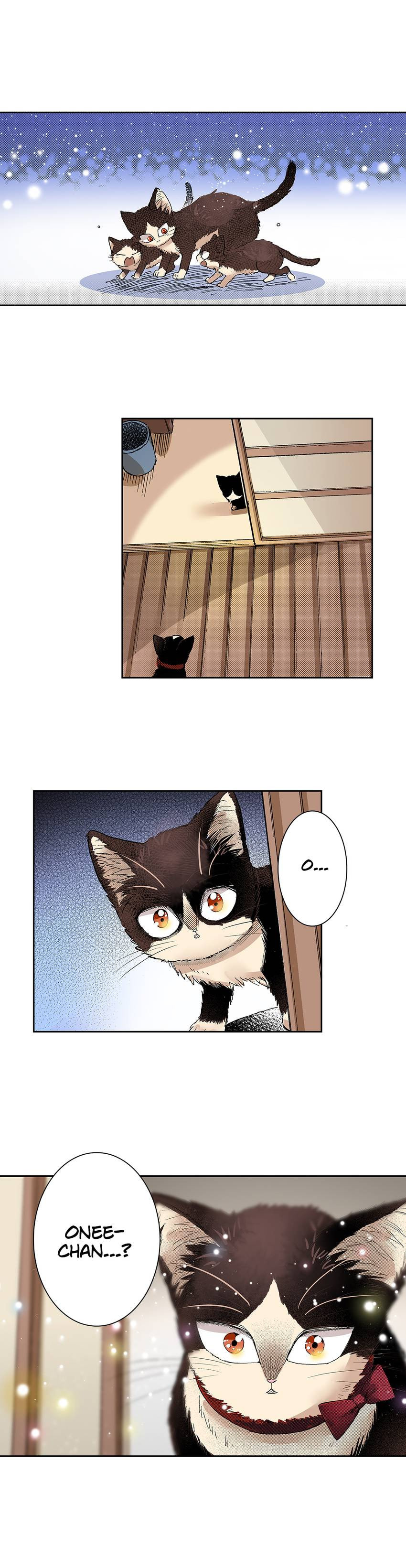 Read My Roommate is a Cat chapter 26 image 9 on Lezhin