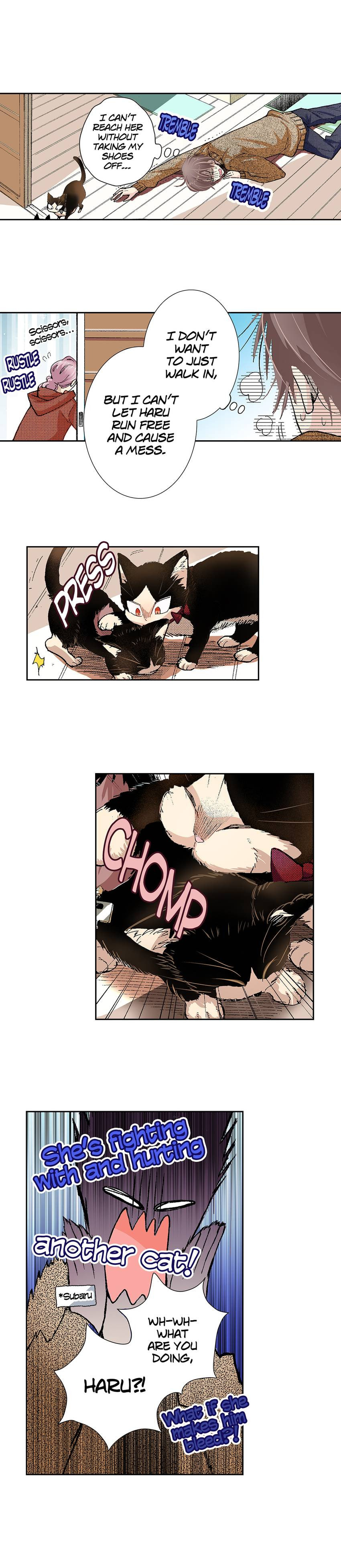 Read My Roommate is a Cat chapter 27 image 1 on Lezhin
