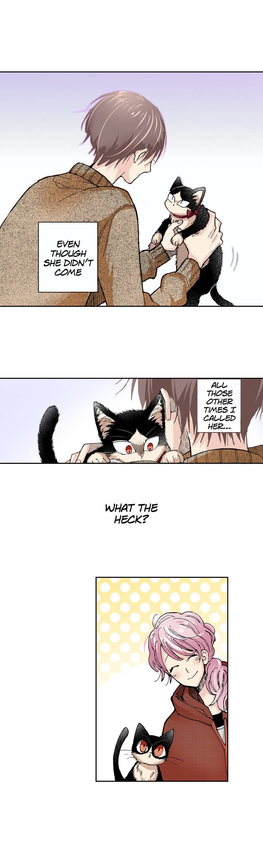 Read My Roommate is a Cat chapter 27 image 11 on Lezhin