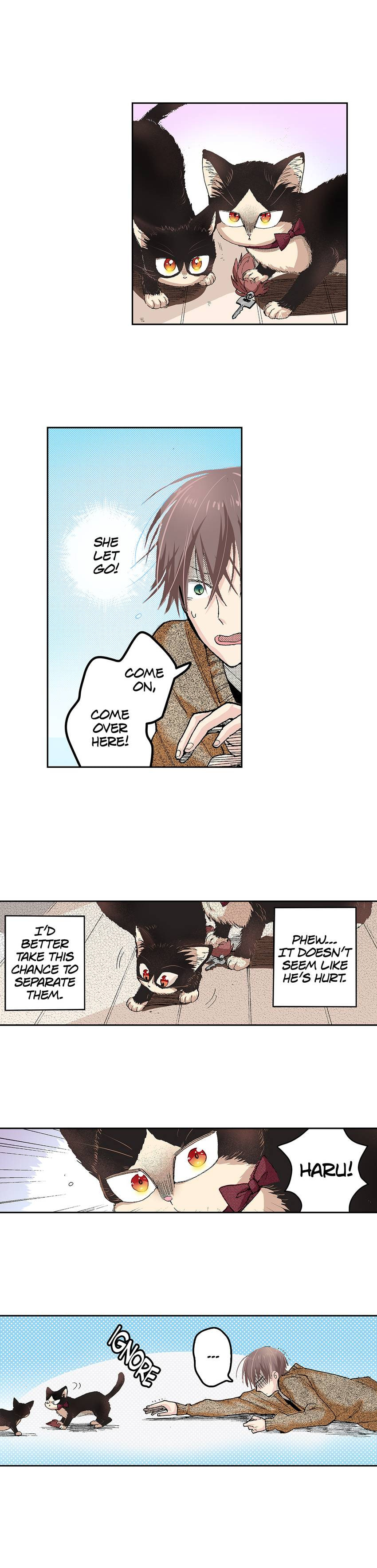 Read My Roommate is a Cat chapter 27 image 2 on Lezhin