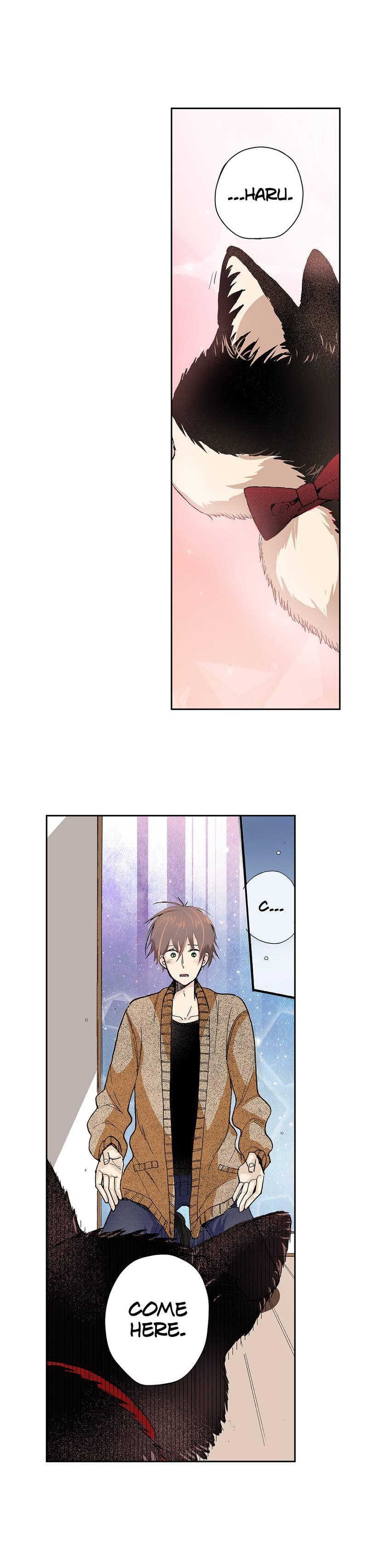 Read My Roommate is a Cat chapter 27 image 9 on Lezhin