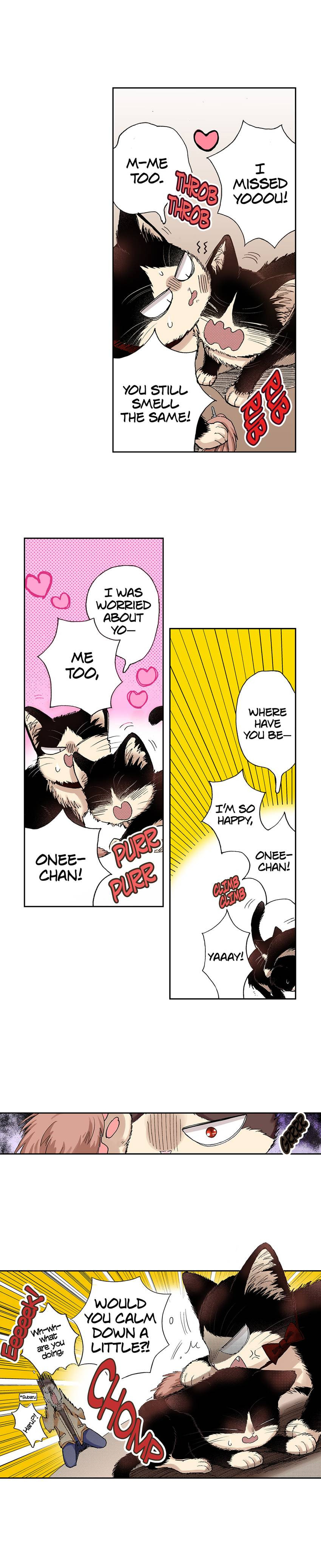 Read My Roommate is a Cat chapter 28 image 1 on Lezhin