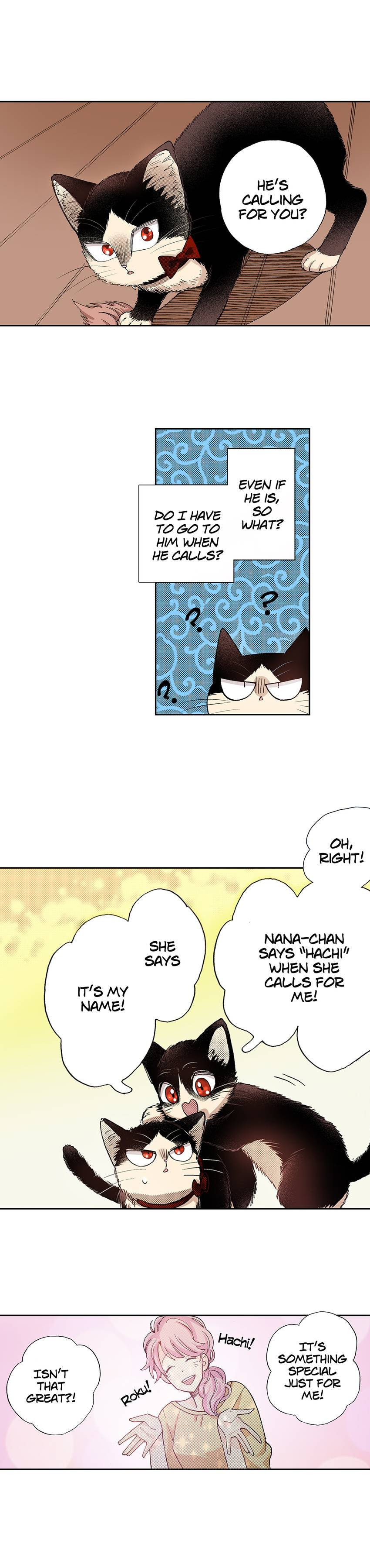 Read My Roommate is a Cat chapter 28 image 10 on Lezhin