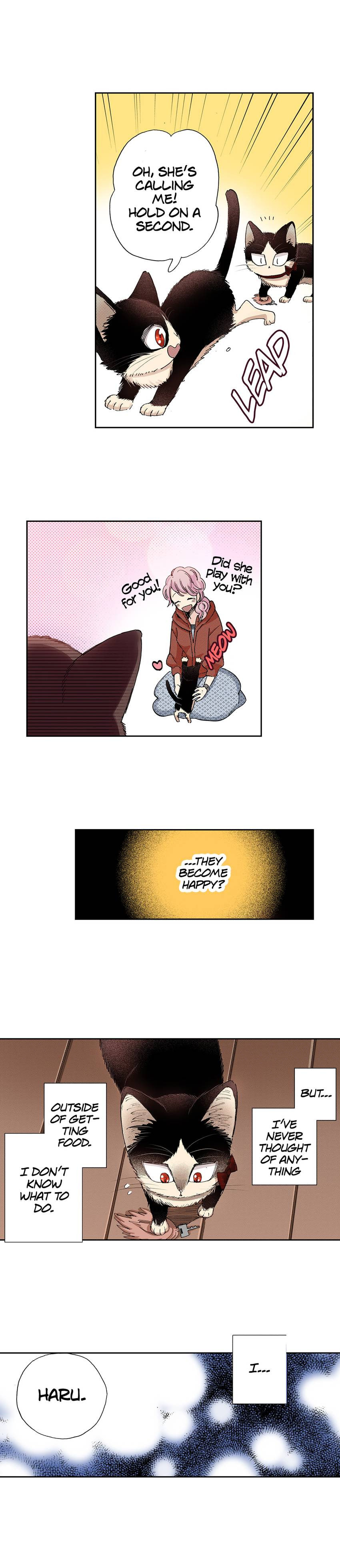 Read My Roommate is a Cat chapter 28 image 14 on Lezhin