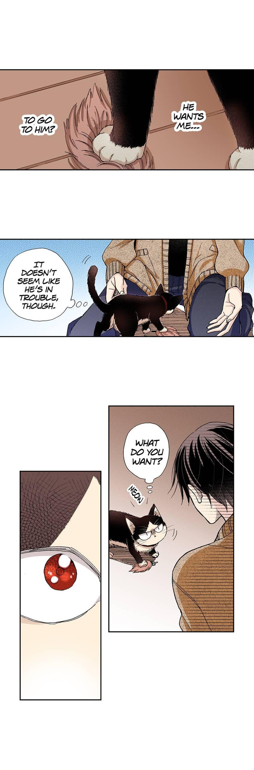 Read My Roommate is a Cat chapter 28 image 16 on Lezhin