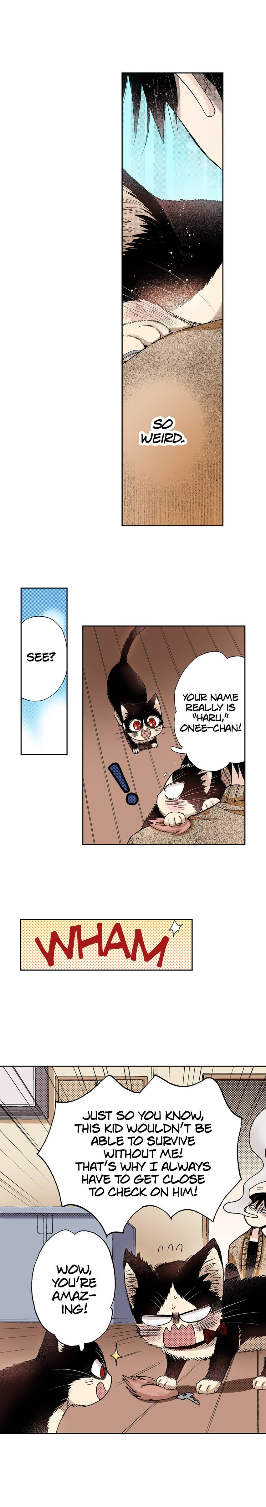 Read My Roommate is a Cat chapter 28 image 18 on Lezhin