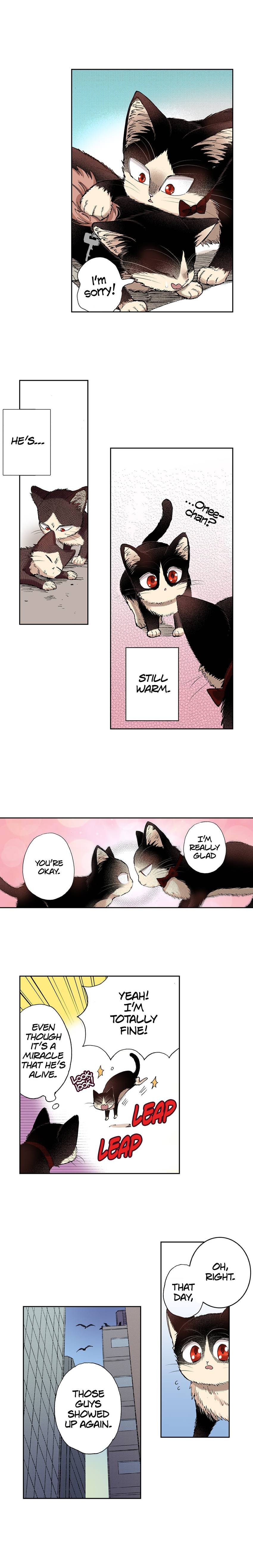Read My Roommate is a Cat chapter 28 image 2 on Lezhin