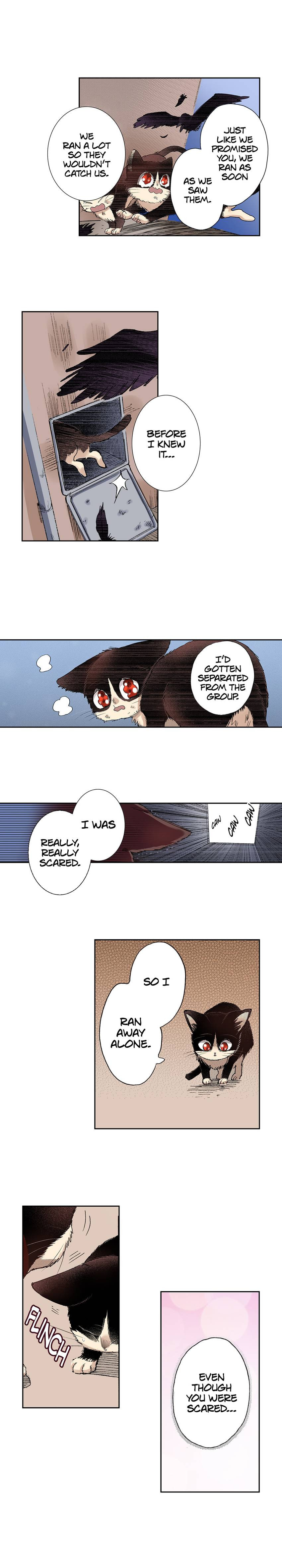 Read My Roommate is a Cat chapter 28 image 3 on Lezhin