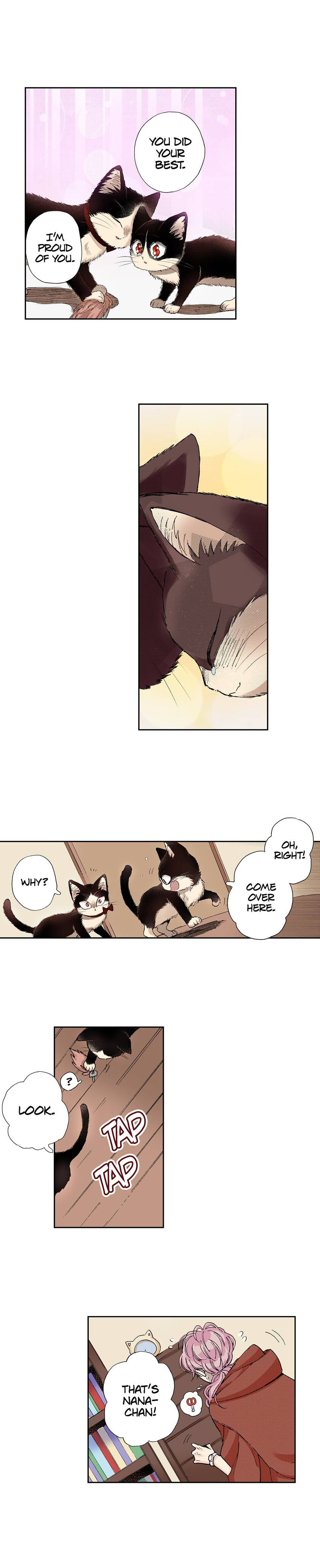 Read My Roommate is a Cat chapter 28 image 4 on Lezhin