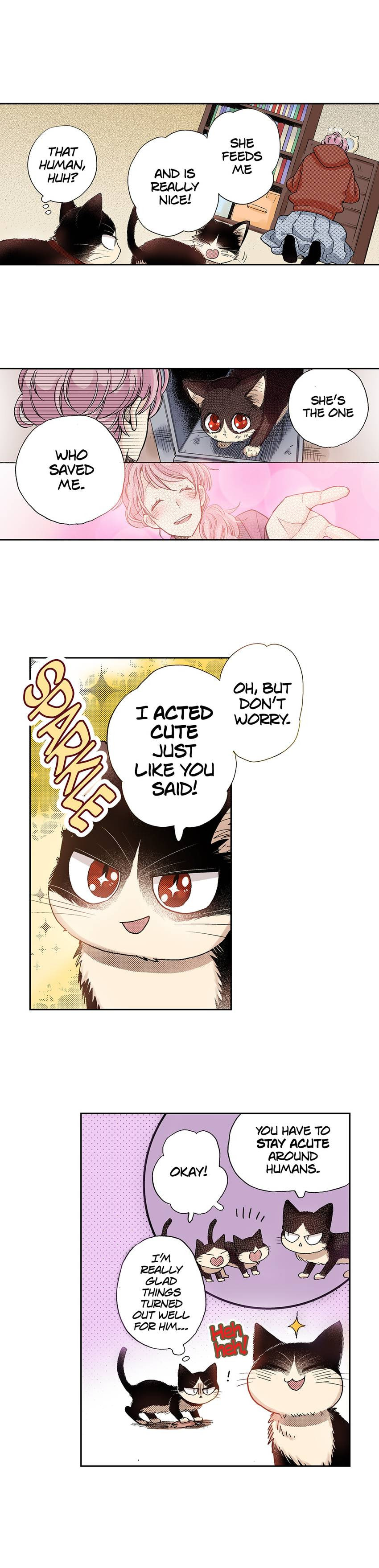 Read My Roommate is a Cat chapter 28 image 5 on Lezhin