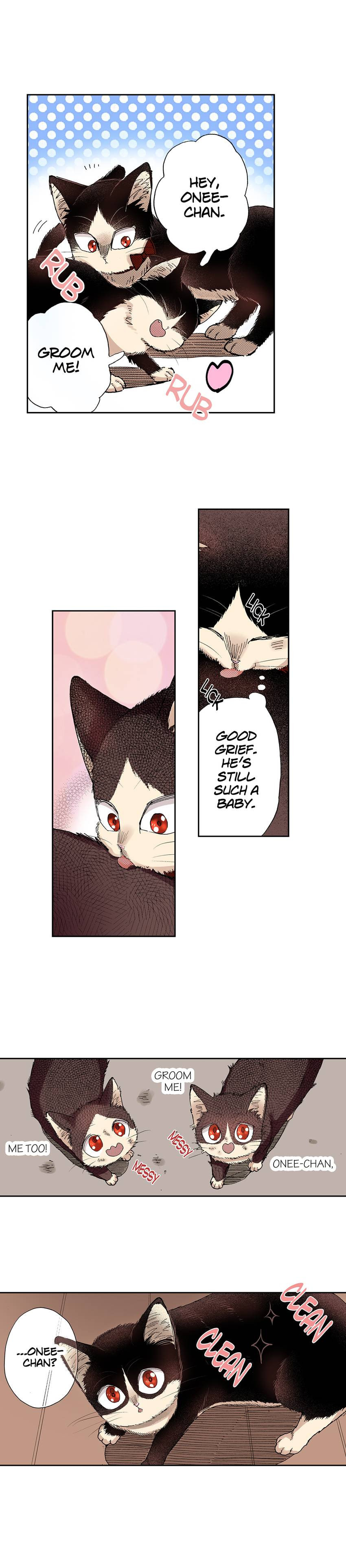 Read My Roommate is a Cat chapter 28 image 6 on Lezhin