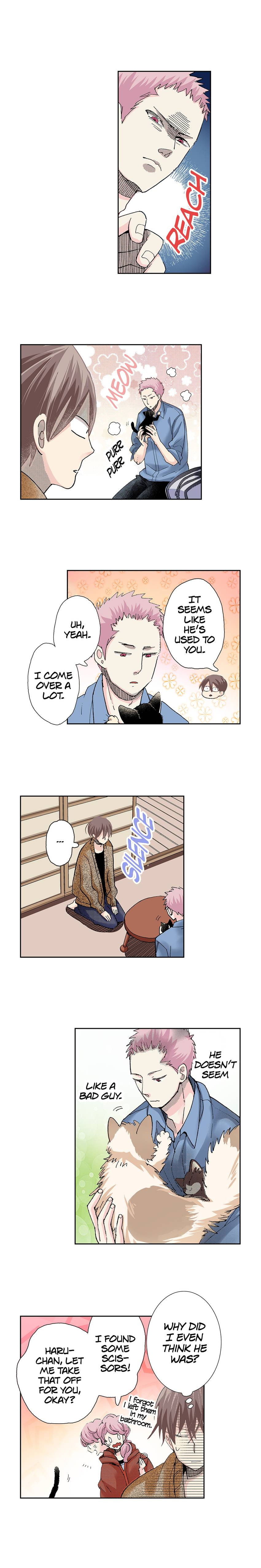 Read My Roommate is a Cat chapter 29 image 5 on Lezhin